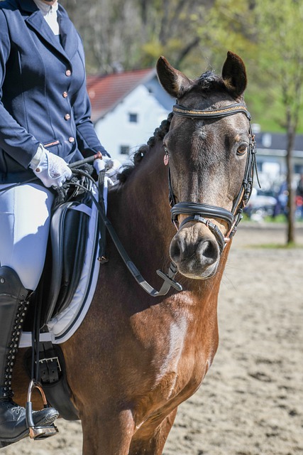 补档：拉比奥米兰德比个人集锦／表现总览