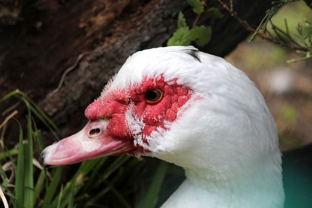 上海U20无缘全运决赛，徐根宝：很多队员没能真正发挥出实力