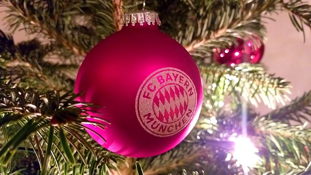 杨乐乐带儿子参加马术比赛！显疲惫汪涵又缺席，11岁沐沐有点紧张