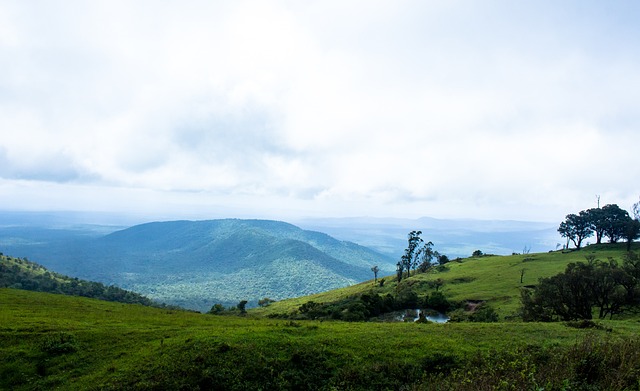 记者：拉菲尼亚与德科有口头协议，世界杯后可随时转会沙特联